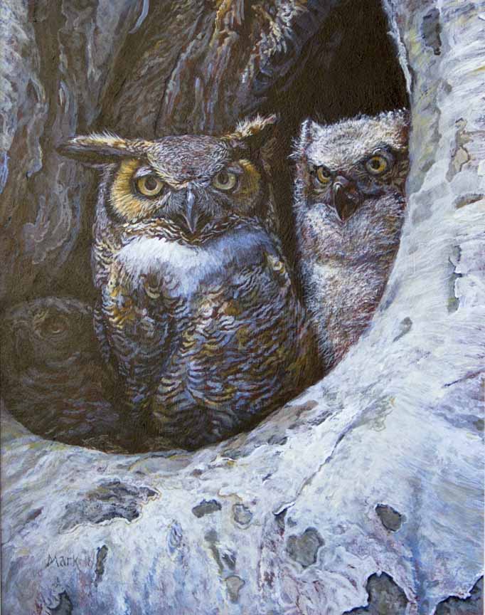 LMF – Great Horned Owl Family © Laura Mark-FInberg