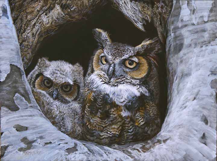 LMF – Great Horned Owl – Mom and Baby © Laura Mark-Finberg
