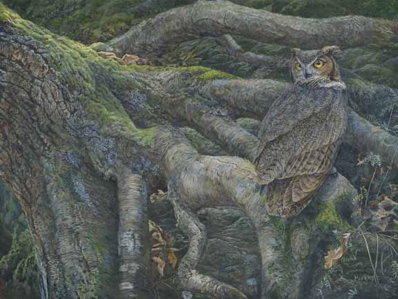 LMF – Hunting the Ravine – Great Horned Owl © Laura Mark-Finberg