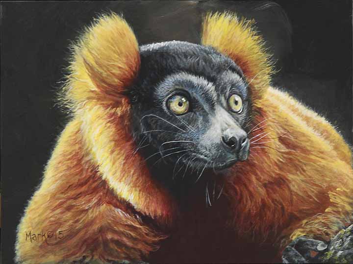 LMF – Lemur © Laura Mark-Finberg
