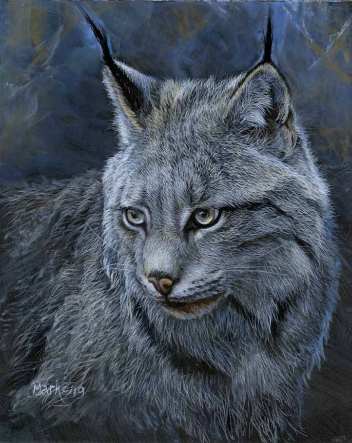 LMF – Lynx 3 © Laura Mark-Finberg
