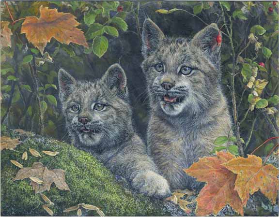 LMF – Lynx Pair © Laura Mark-Finberg