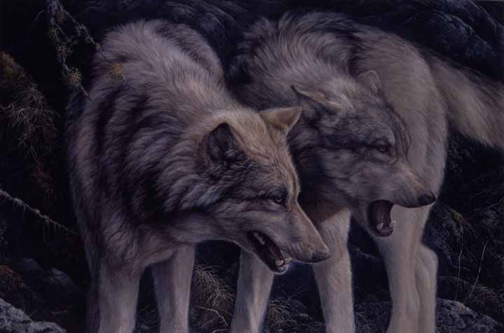 LMF – Opus – Wolves © Laura Mark Finberg
