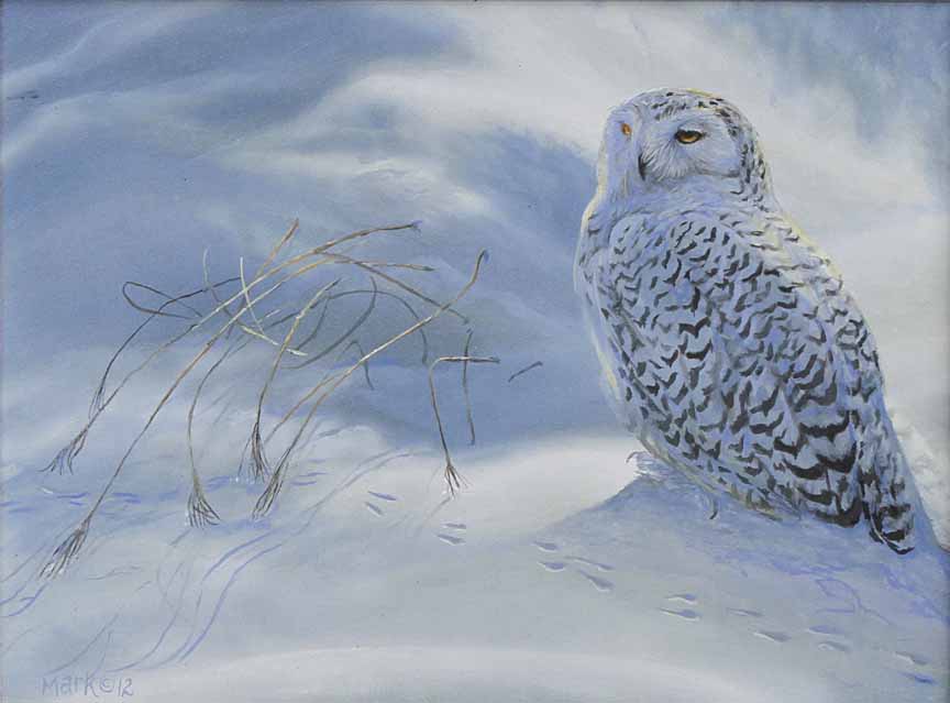 LMF – Snowy Owl 3 © Laura Mark-Finberg