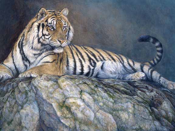 LMF – Tiger on the Rocks © Laura Mark-Finberg