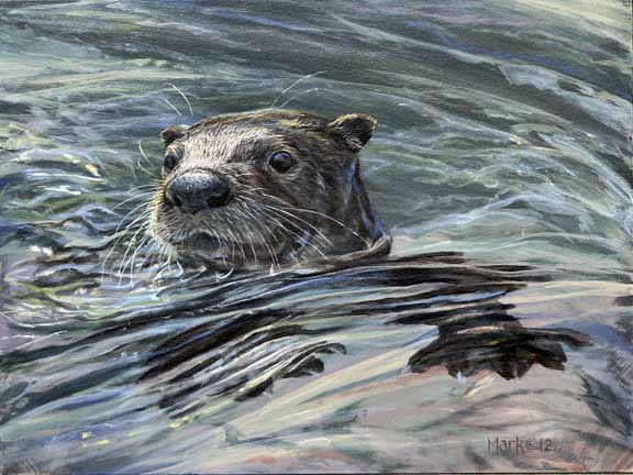 LMF – Water Otter © Laura Mark-Finberg