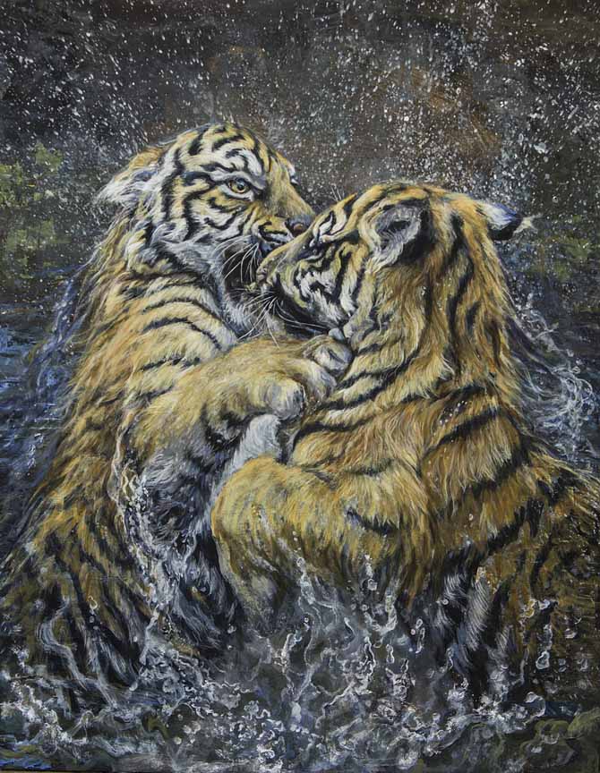 LMF – Water Temp – Tiger © Laura Mark-Finberg