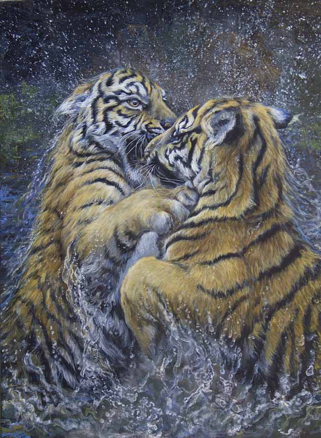 LMF – Water Twins – Tigers © Laura Mark-Finberg