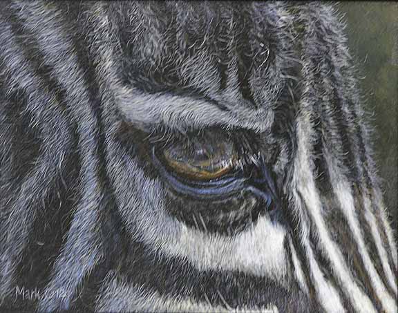 LMF – Zebra Eye © Laura Mark-Finberg
