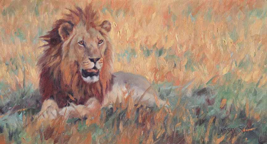 LS – Lion 2 © Lindsay Scott