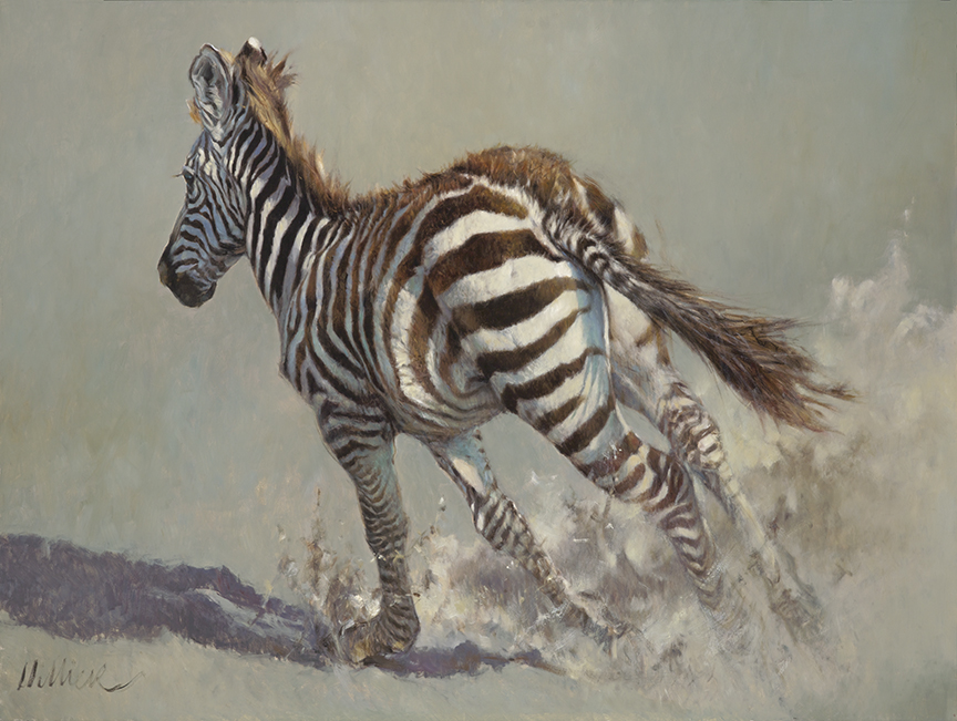 MH – Kickin Up Dust – Zebra © Matthew Hillier