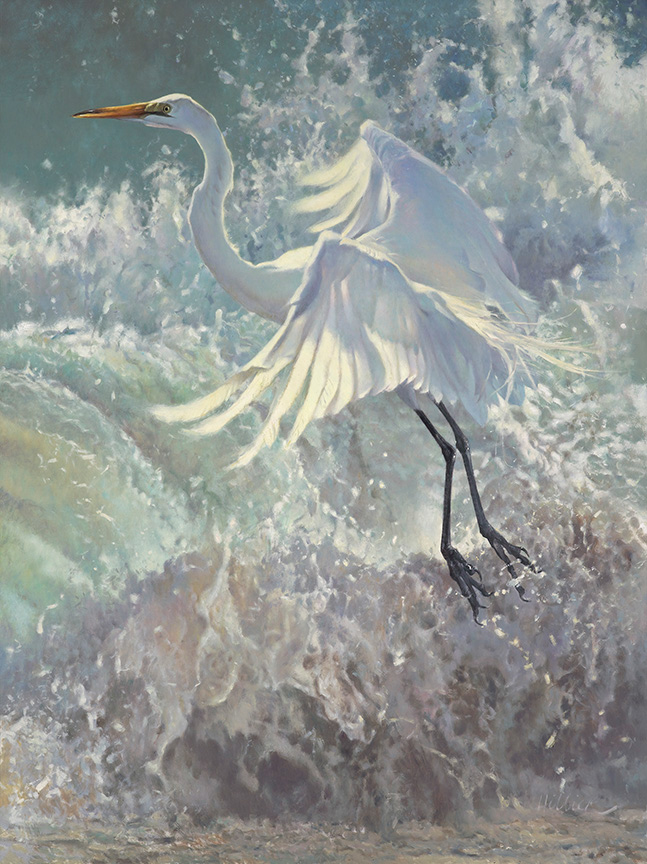 MH – Large Egret © Matthew Hillier