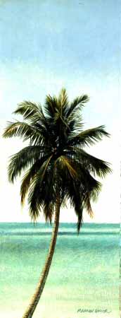 MH – Palm Tree 2 © Matthew Hillier