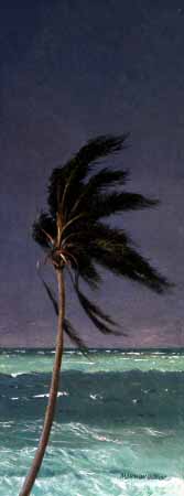 MH – Palm Tree I © Matthew Hillier
