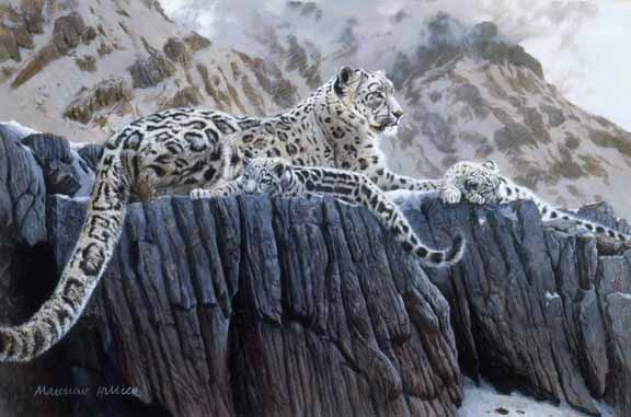 MH – Snow Leopard Family 2 © Matthew Hillier