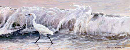 MH – Snowy Egret Breaking Wave © Matthew Hillier