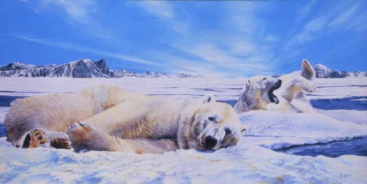 MK – Resting in Peace – Polar Bears © Mark Kelso
