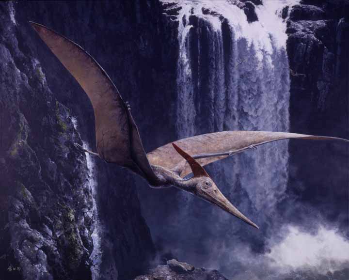 MK – Riding the Updrafts – Pteranodon Ingens © Mark Kelso