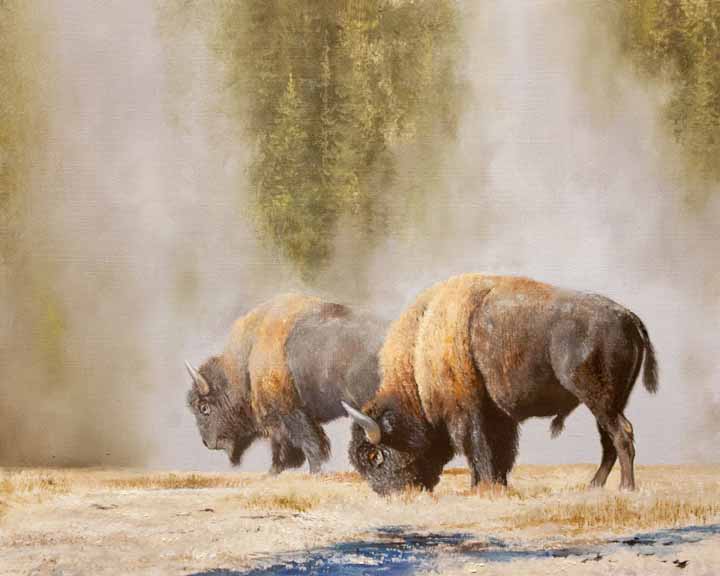 MK – The Yellowstone Experience Study #1 b© y Mark Kelso