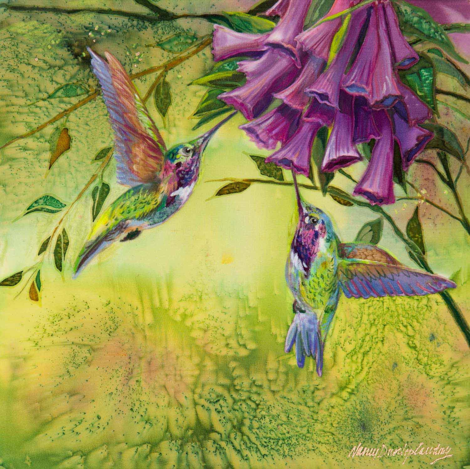 NDC – Hummingbird Glow © Nancy Dunlop Cawdrey