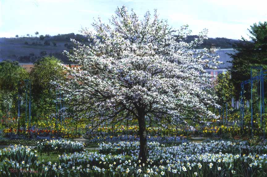 PE – Flowering Tree #1731 by Peter Ellenshaw © Ellenshaw.com