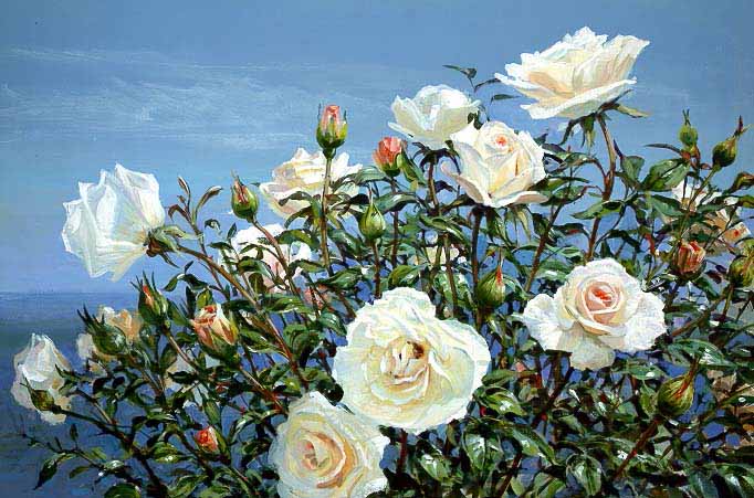 PE – White Roses by Peter Ellenshaw #2019 © Ellenshaw.com