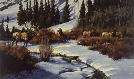 PY – Winter Elk Range © Paco Young