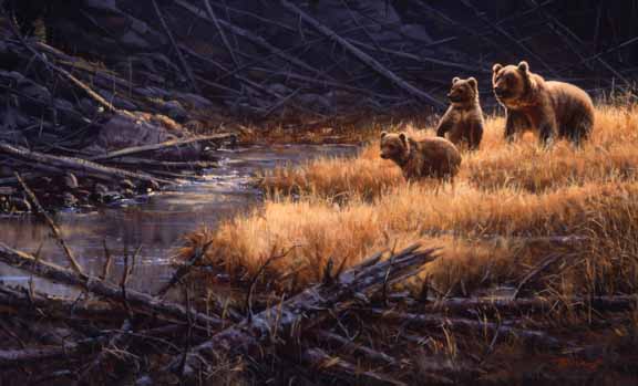 PY – Yellowstone Grizzlies © Paco Young