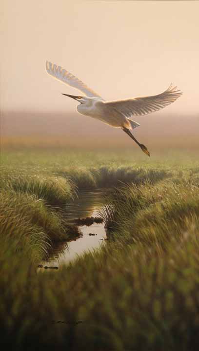 across the marsh-Richard Clifton