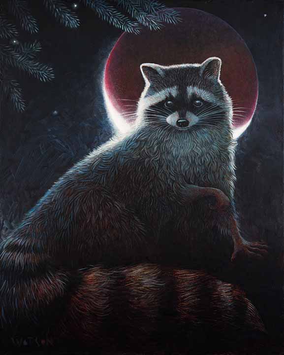 RJW – Raccoon Moon © Richard Jesse Watson
