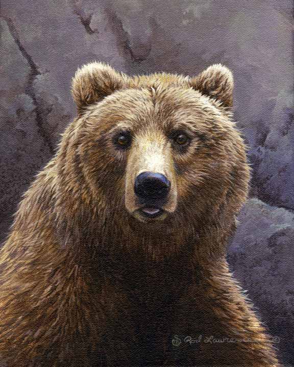 RL – Bear! © Rod Lawrence