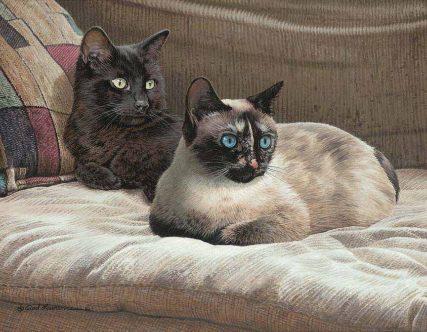 RL – Couch Cats © Rod Lawrence