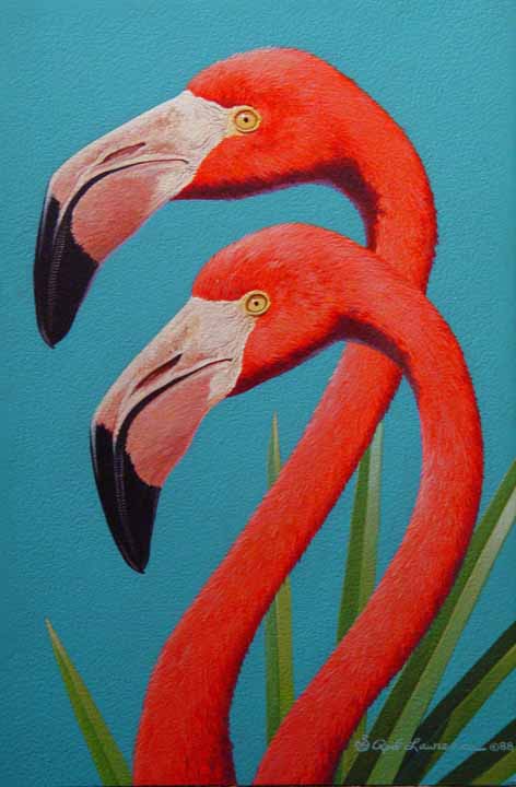 RL – Flamingos 2 © Rod Lawrence