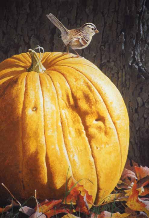 RL – Pumpkin Time © Rod Lawrence