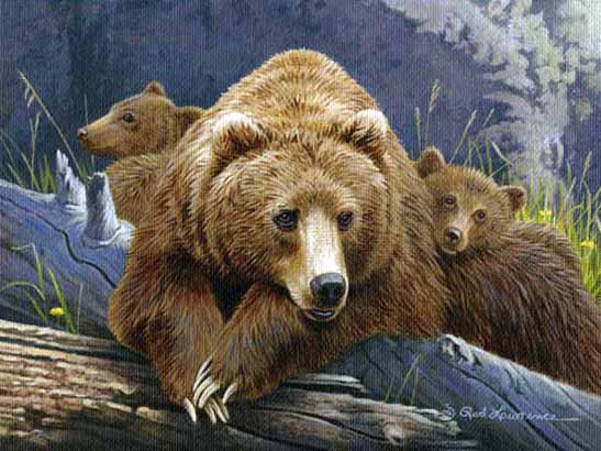 RL – The Three Bears © Rod Lawrence