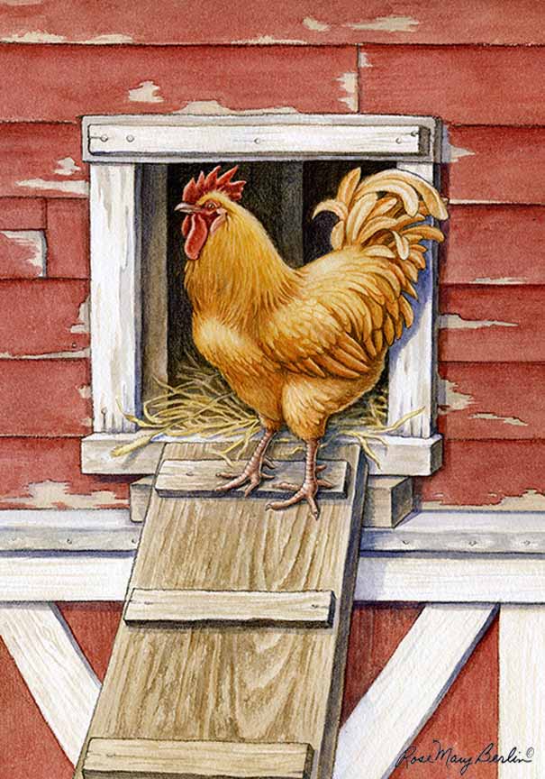 RMB – Farm – Rooster © Rose Mary Berlin