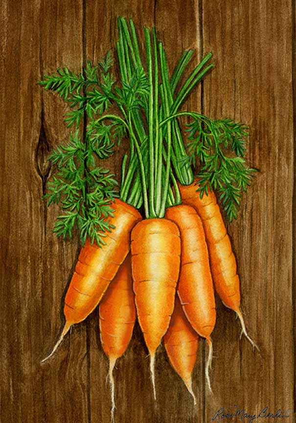 RMB – Garden – Carrots © Rose Mary Berlin