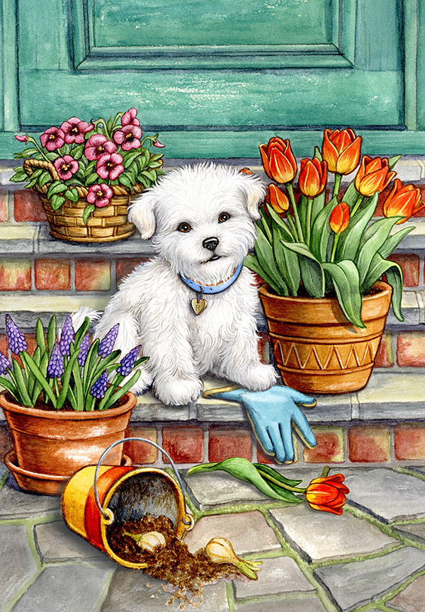 RMB – Spring Dog © Rose Mary Berlin
