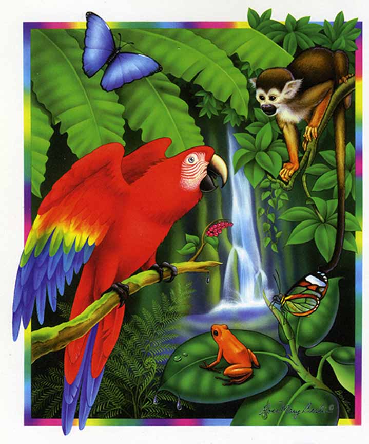 RMB – Wildlife – Rainforest – Red Parrot © Rose Mary Berlin