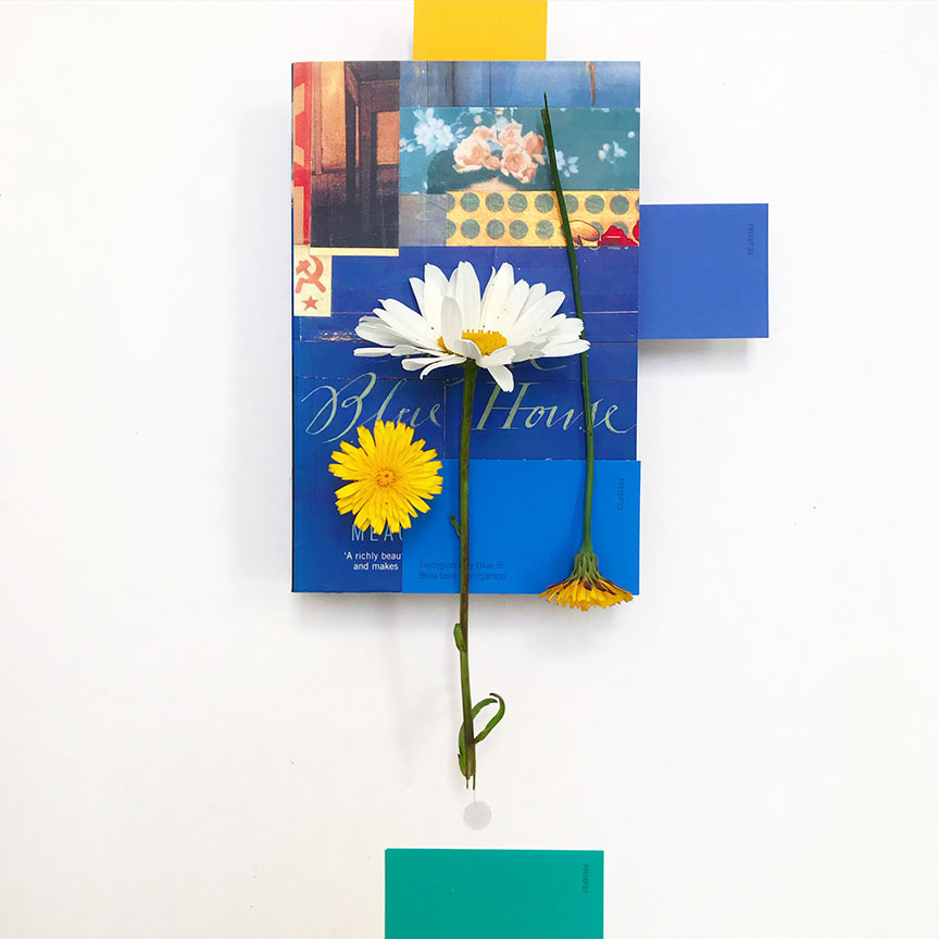 SD – Flower Collage 8 © Shelley Davies