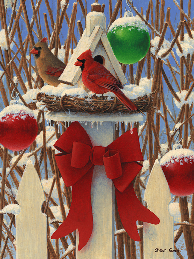 SG – Cardinal Christmas © Shawn Gould