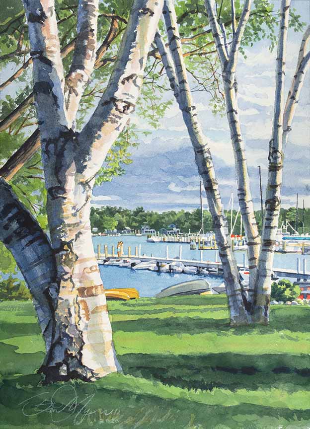 SM – Birch Trees on the Bay – Ford Park – Harbor Springs © Stan Myers