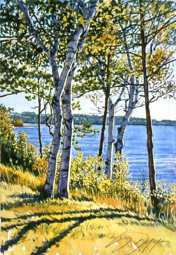 SM – Birch Trees on the Bay © Stan Myers