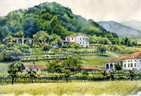 SM – Farm Houses with Vineyards – Veneto © Stan Myers