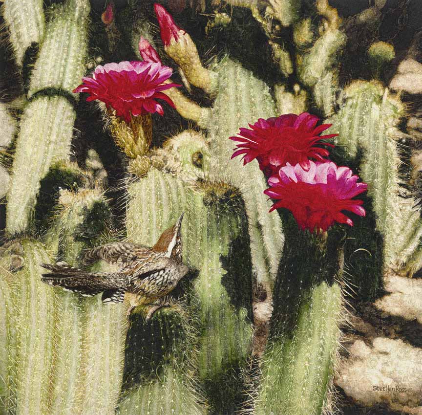 SR – Desert Blooms © Sueellen Ross
