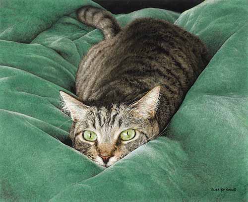 SR – Torpedo Cat © Sueellen Ross