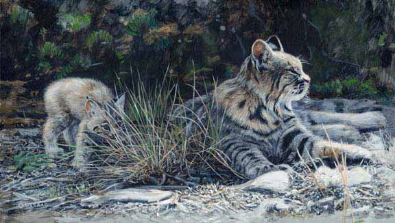 TI – About to Pounce © Terry Isaac