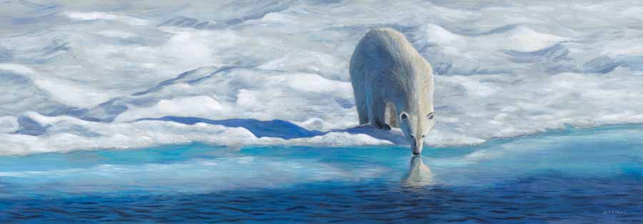 TI – Arctic Reflections © Terry Isaac