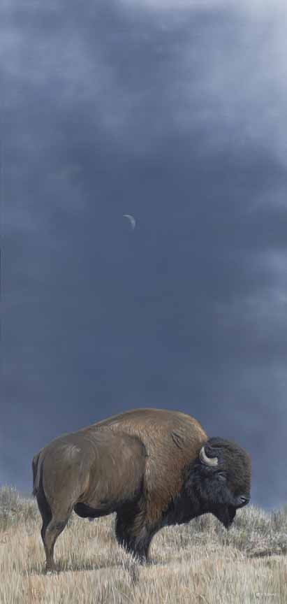 Bison and Moon by Terry Isaac