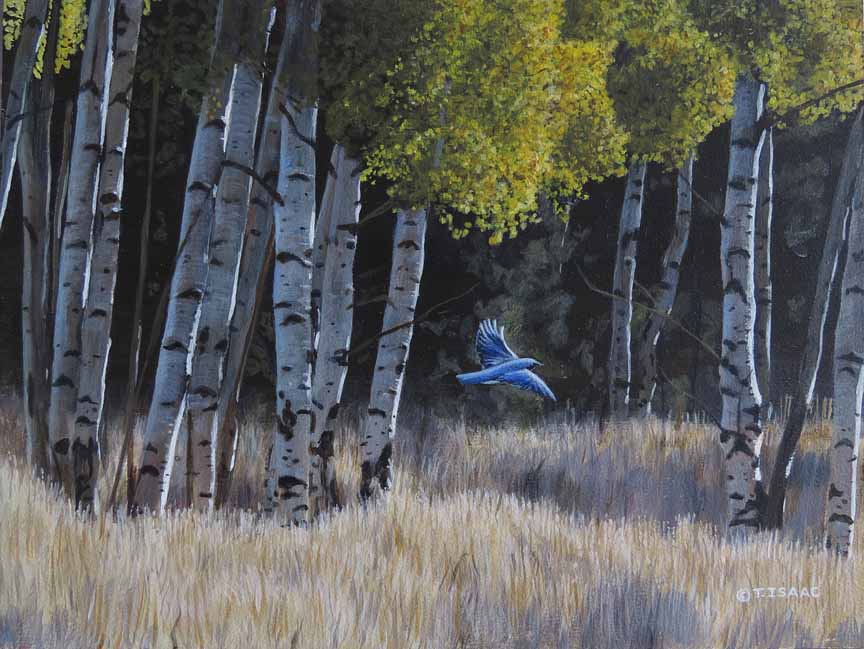 Bluebird in Aspens by Terry Isaac